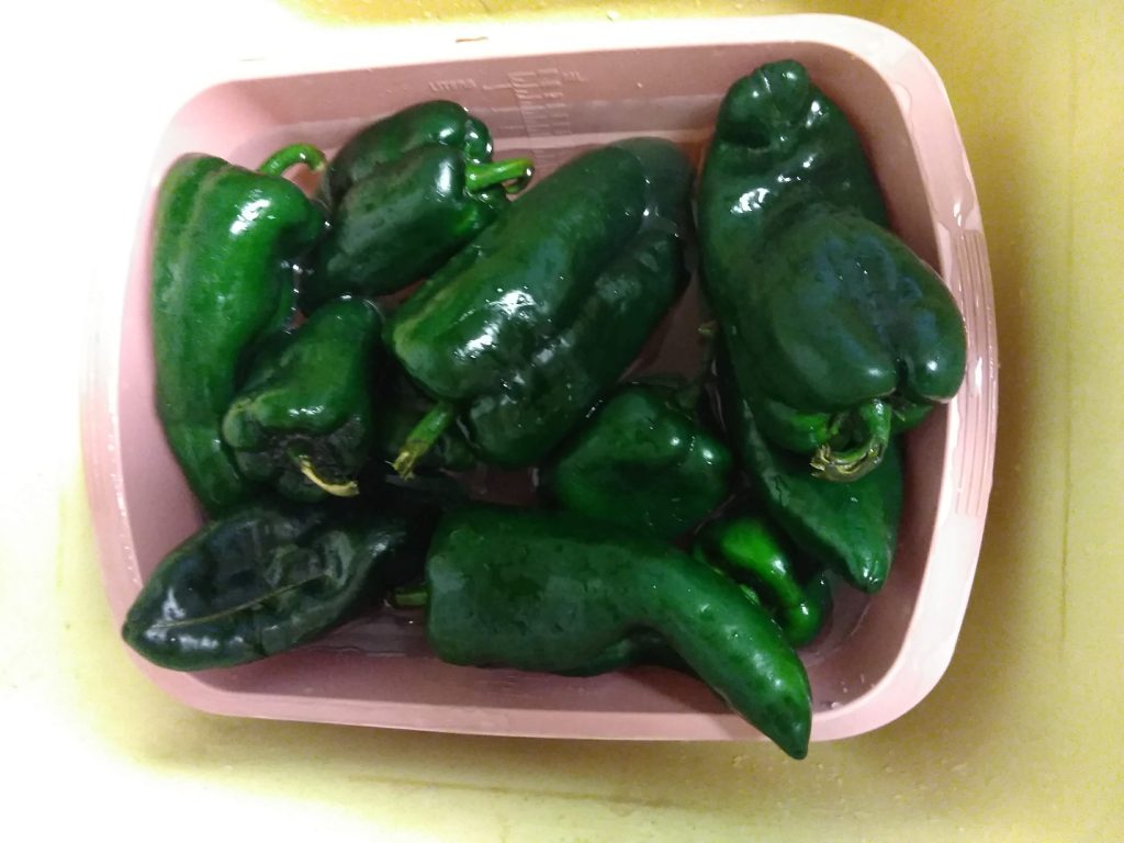 Poblano chiles in a plastic basin.